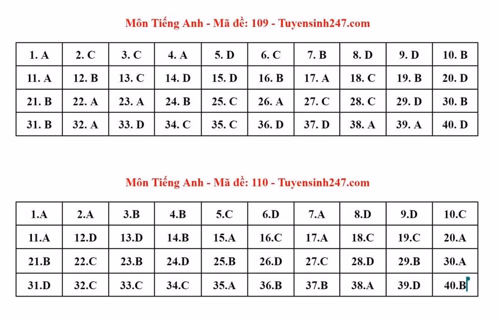 de thi mon tieng anh co tinh phan hoa cao kho de dat diem 10 hinh 3