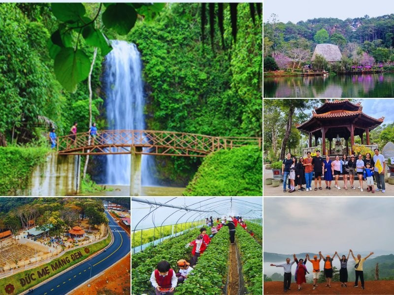 tour-quang-ngai-mang-den-2-ngay-1-dem.jpg