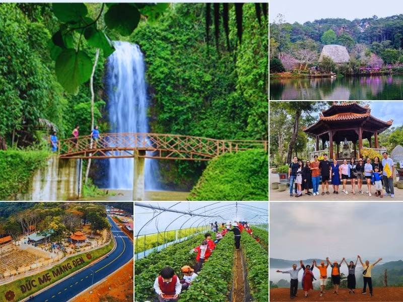 tour-quang-ngai-mang-den-2-ngay-1-dem.jpg