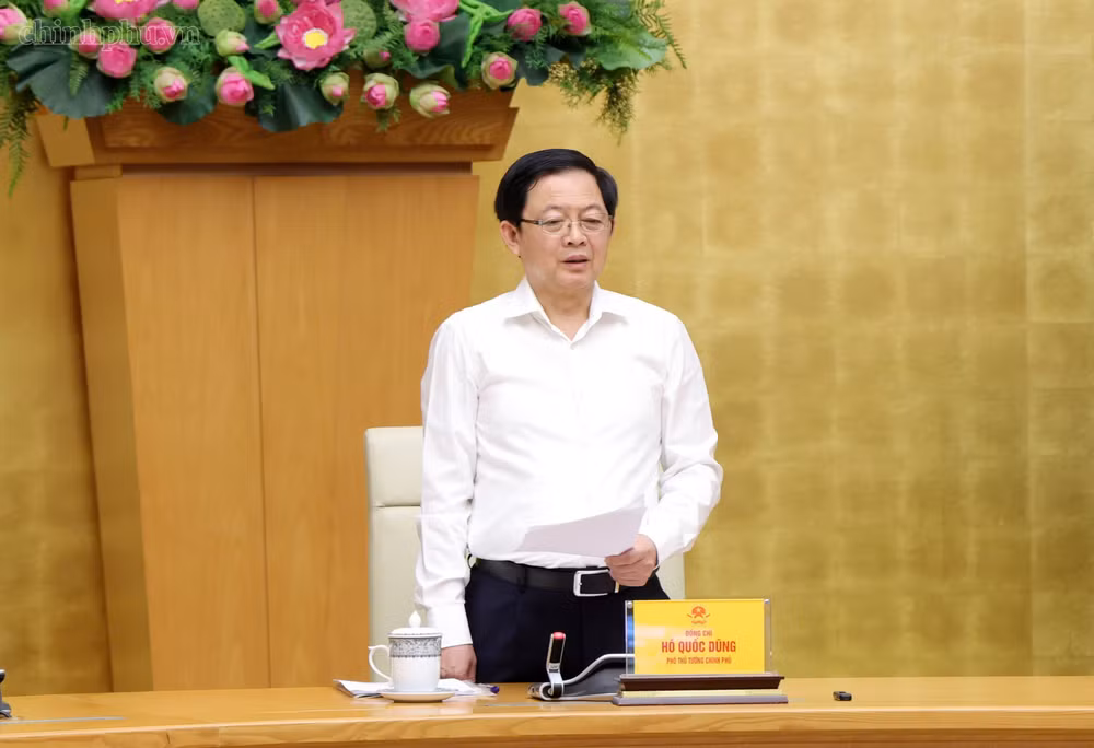 Phó Thủ tướng Hồ Quốc Dũng phát biểu chỉ đạo hội nghị - Ảnh: CP