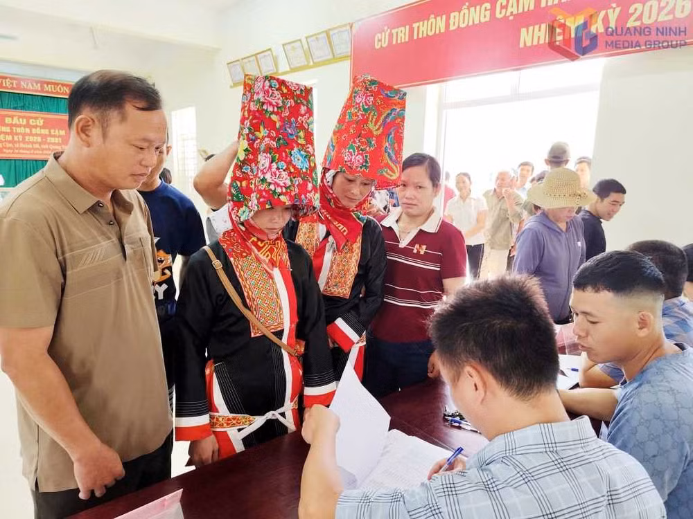 Phát phiếu bầu cử cho cử tri đại diện hộ gia đình thôn Đồng Cậm, xã Hoành Mô. Ảnh: QN Media