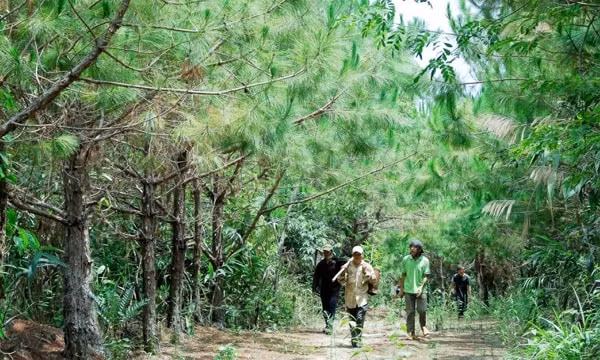 Ảnh minh họa. Nguồn: TL