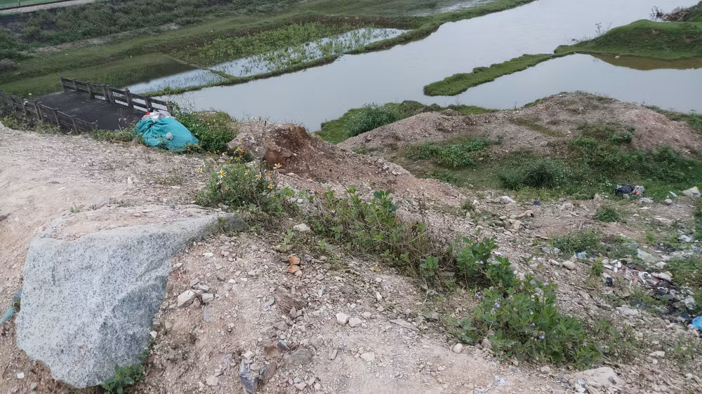 Vào buổi tối, rất khó có thể quan sát được nên nhiều lái xe lao xuống vực ruộng rất nguy hiểm. Ảnh PV