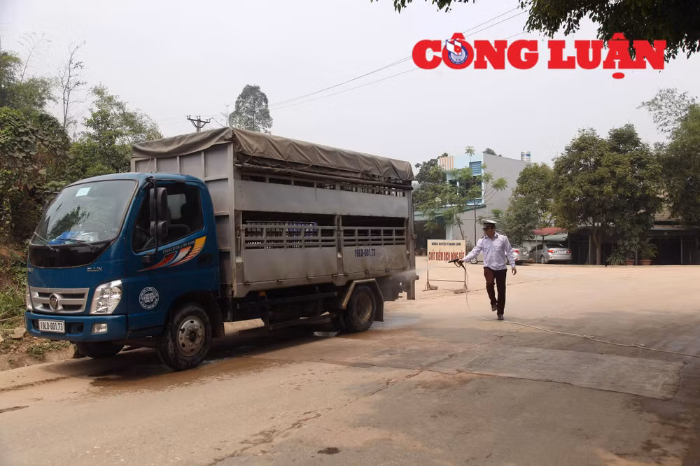 Các tổ, chốt đã bố trí đủ nhân lực, đảm bảo thời gian trực 24/24.