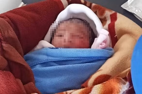 Bé sơ sinh bị bỏ rơi. Ảnh: TL.