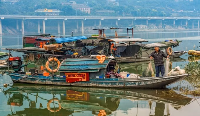 Lệnh cấm đánh bắt cá trên sông Dương Tử khiến 300.000 người dân Trung Quốc phải từ bỏ nghề truyền thống - Ảnh: Shutterstock