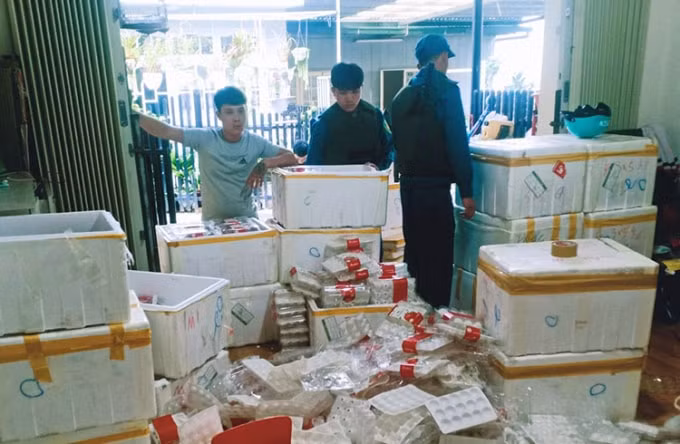 Lực lượng chức năng kiểm tra phát hiện lô hàng dâu tây không có hóa đơn, chứng từ hợp pháp.