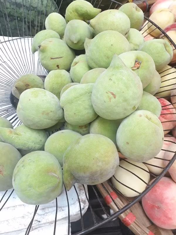 Đào mỏ quạ Sapa.
