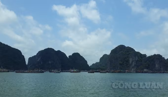 Một góc 
