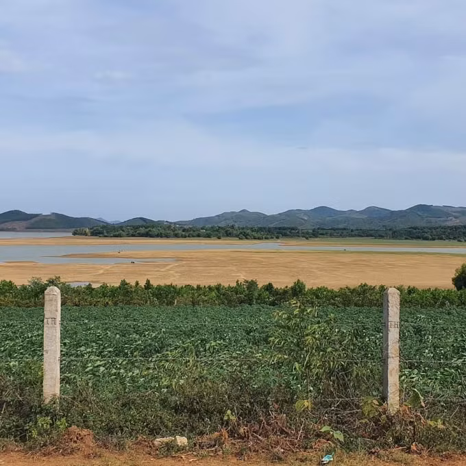 Hồ Yên Mỹ, huyện Nông Cống, Thanh Hóa cũng cạn kiệt