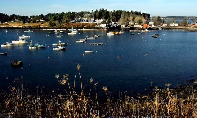 Ven Đảo Bailey ở thị trấn Harpswell, bang Maine. Ảnh: internet.