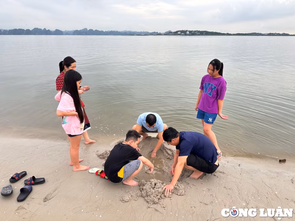 hap dan du lich ky nghi le quoc khanh 2 9 o quang ninh hinh 2