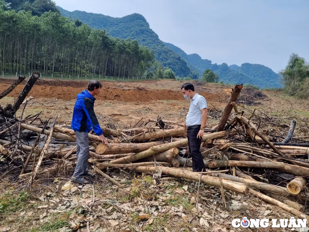 thu hoi dat cua dan voi gia beo de doanh nghiep ban du an co dung quy dinh hinh 5