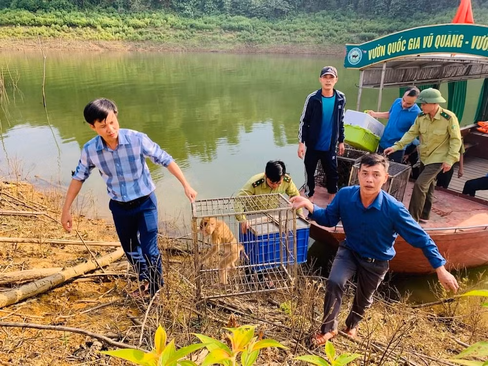 tai tha 13 ca the dong vat hoang da ve moi truong tu nhien o ha tinh hinh 2