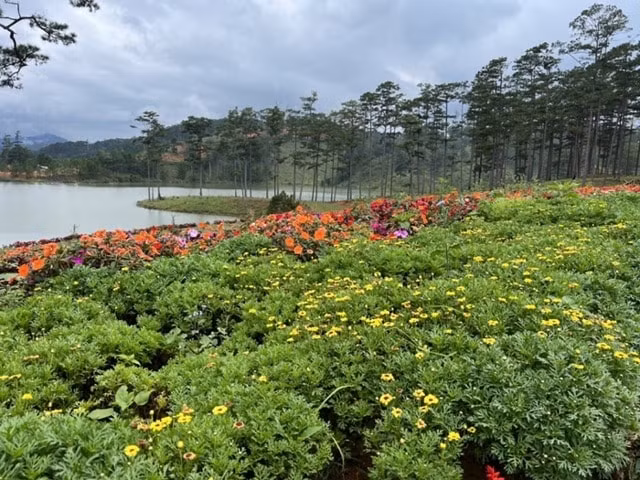 festival hoa da lat lan thu ix se dien ra trong 2 thang hinh 2