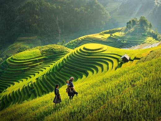 viet nam duoc chon la diem den di san hang dau the gioi nam 2022 hinh 3