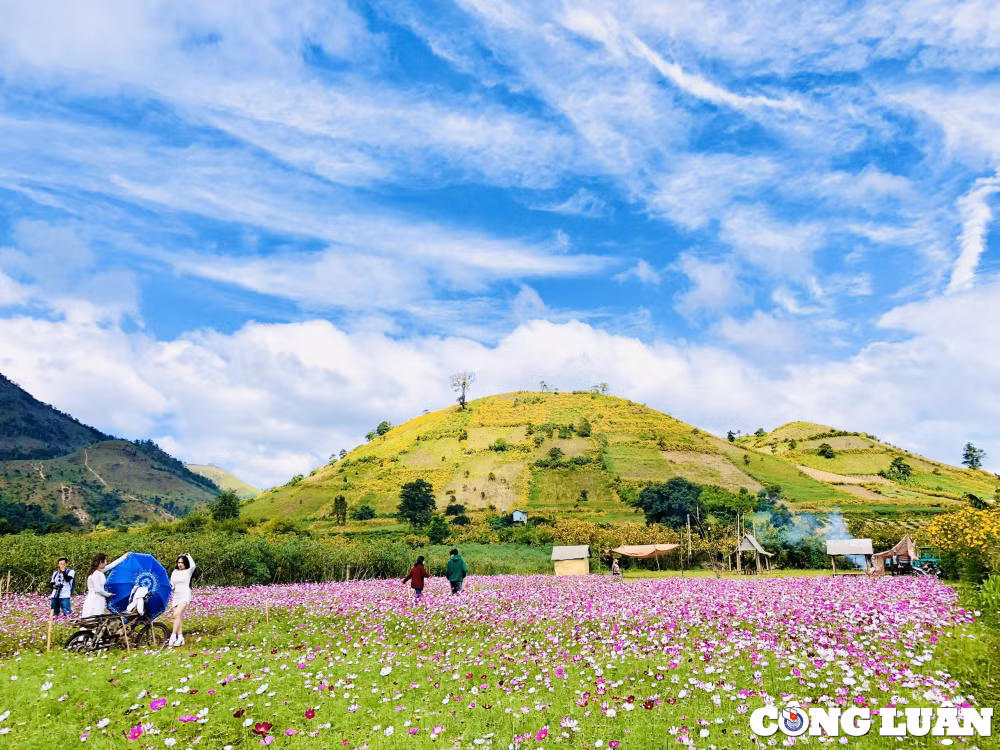 gia lai hoa da quy nhuom vang nui lua chu dang ya hinh 9