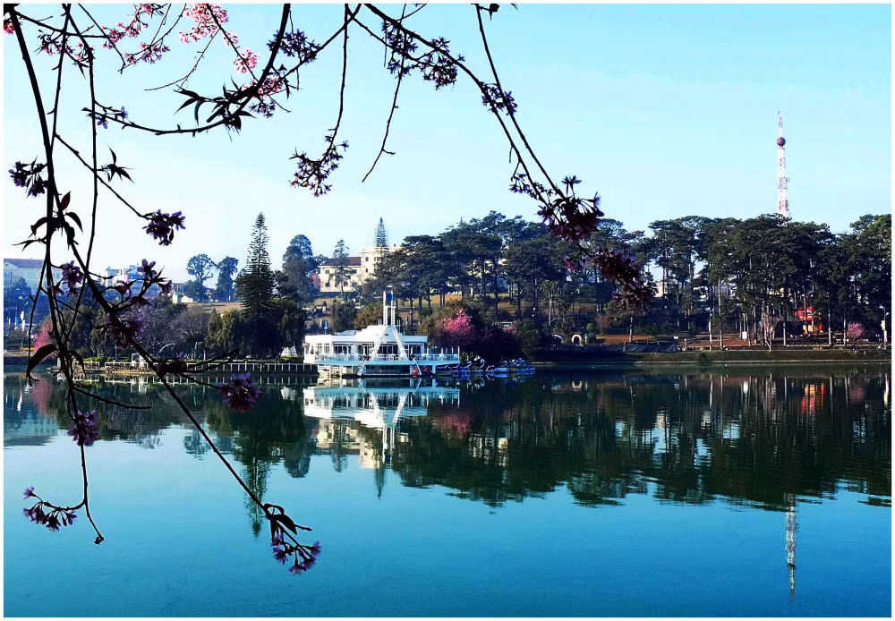 ve dep cua tay nguyen duoc chung minh bang trien lam anh tay nguyen xanh hai hoa ben vung hinh 5