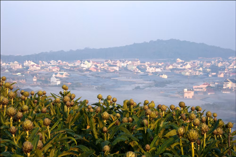 ve dep cua tay nguyen duoc chung minh bang trien lam anh tay nguyen xanh hai hoa ben vung hinh 7