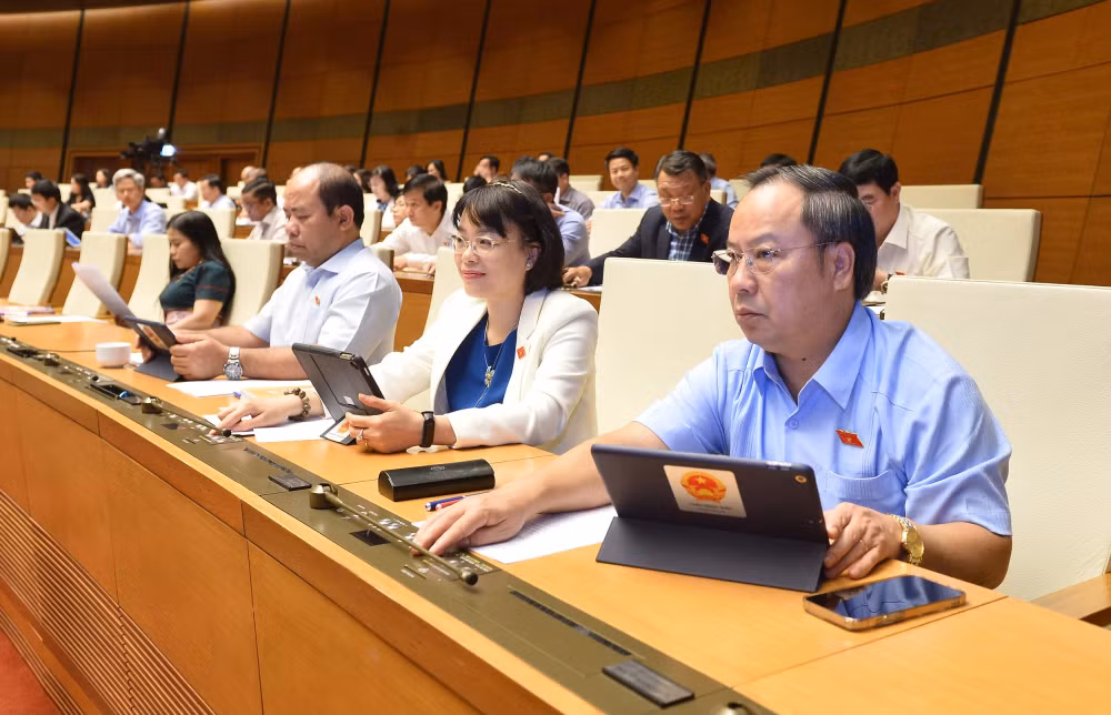 quoc hoi de nghi ca the hoa trach nhiem nguoi dung dau khi cham giai ngan hinh 4