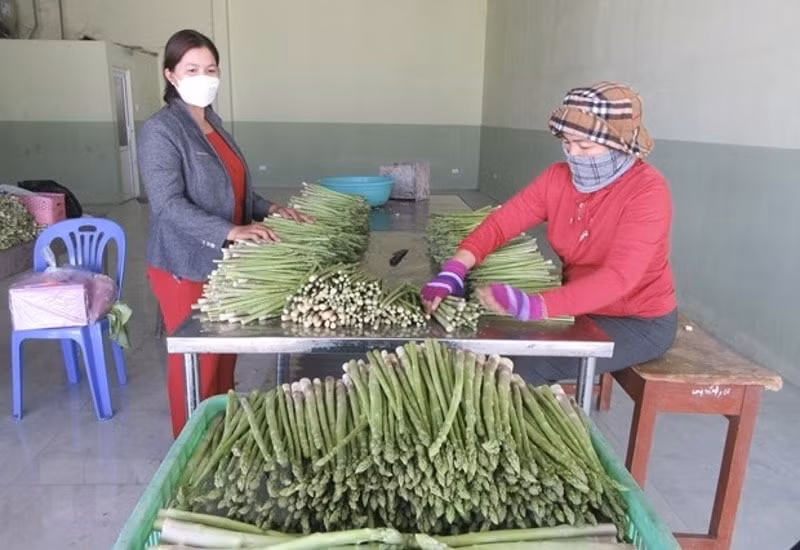 ninh thuan tin dung chinh sach dong hanh cung ba con dan toc thieu so hinh 2