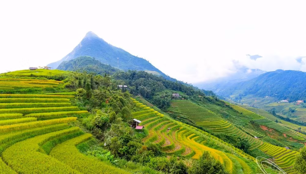 viet nam la diem den hoan hao cho dip mua dong 2022 hinh 2