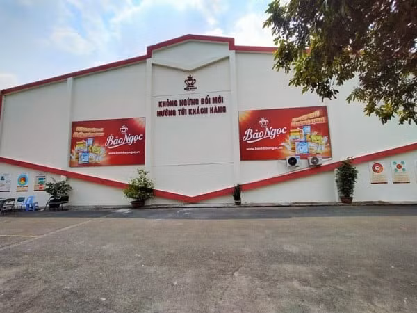 ctcp dau tu san xuat bao ngoc bna bi phat 225 trieu dong hinh 1