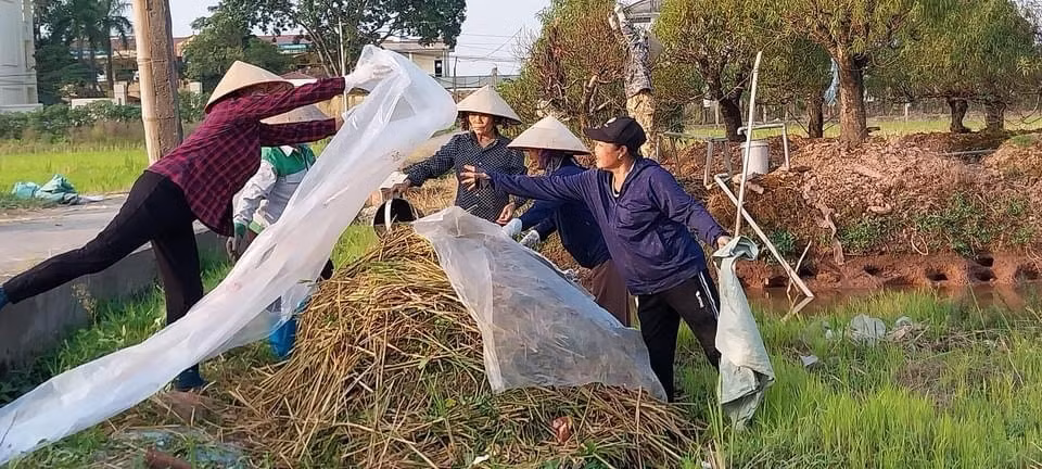 diem dac biet cua mo hinh diem phu nu tham gia xu ly rom ra sau thu hoach hinh 1