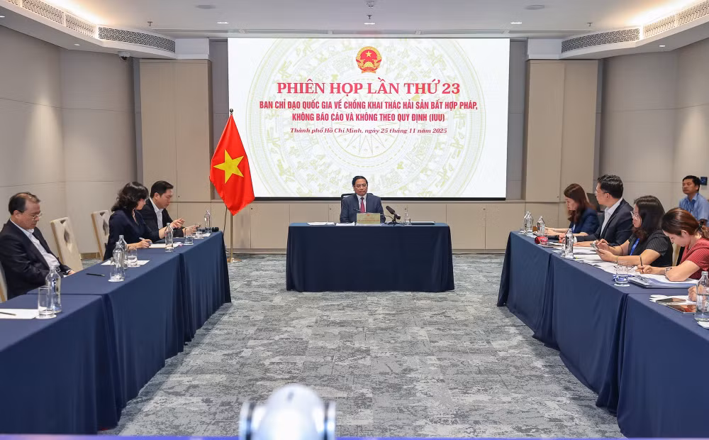 Thủ tướng: Hoàn thành dứt điểm đúng hạn các nhiệm vụ chống khai thác IUU- Ảnh 1.