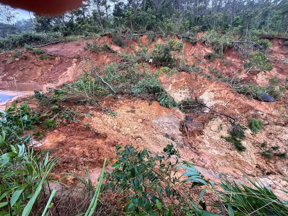 z7253641049168_95d5249fd6e0cc194406a4348a824462.jpg