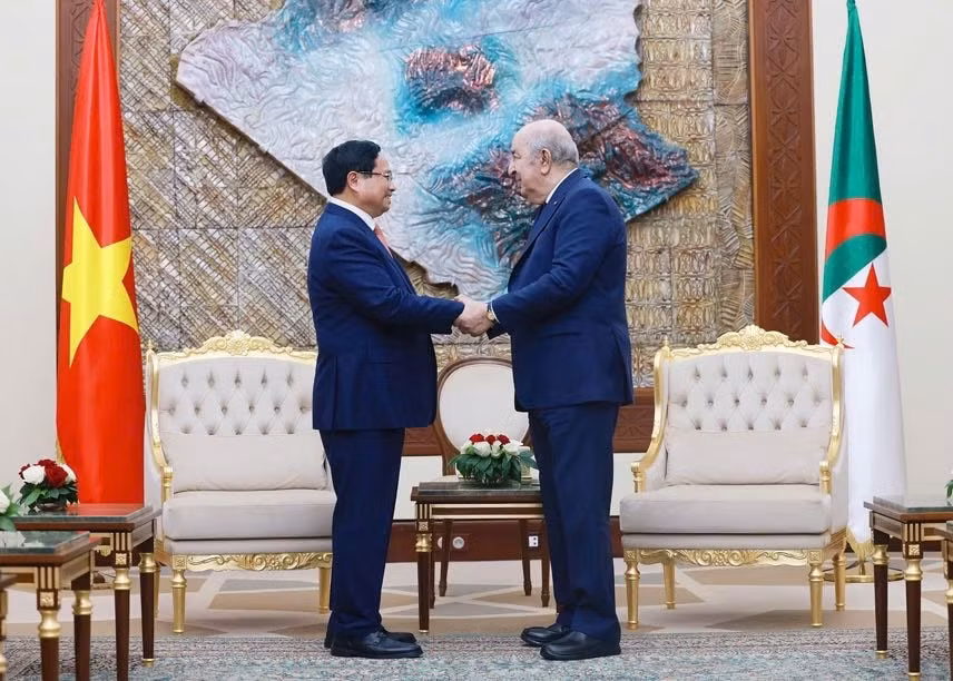 Thủ tướng Phạm Minh Chính hội kiến Tổng thống Algeria- Ảnh 4.