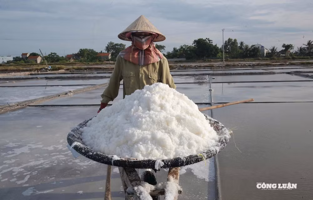 anh 1 (1)