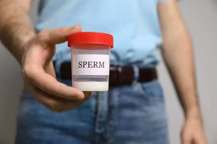 donor-sperm.webp
