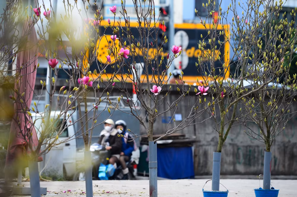 Ảnh màn hình 2025-12-16 lúc 22.04.36