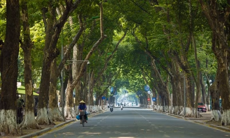 2023-ha-noi-khong-mua-thanh-pho-ho-chi-minh-da-nang-ngay-nang-chieu-mua-co-mua-to-651a8d9f966e2-1699485090.jpeg