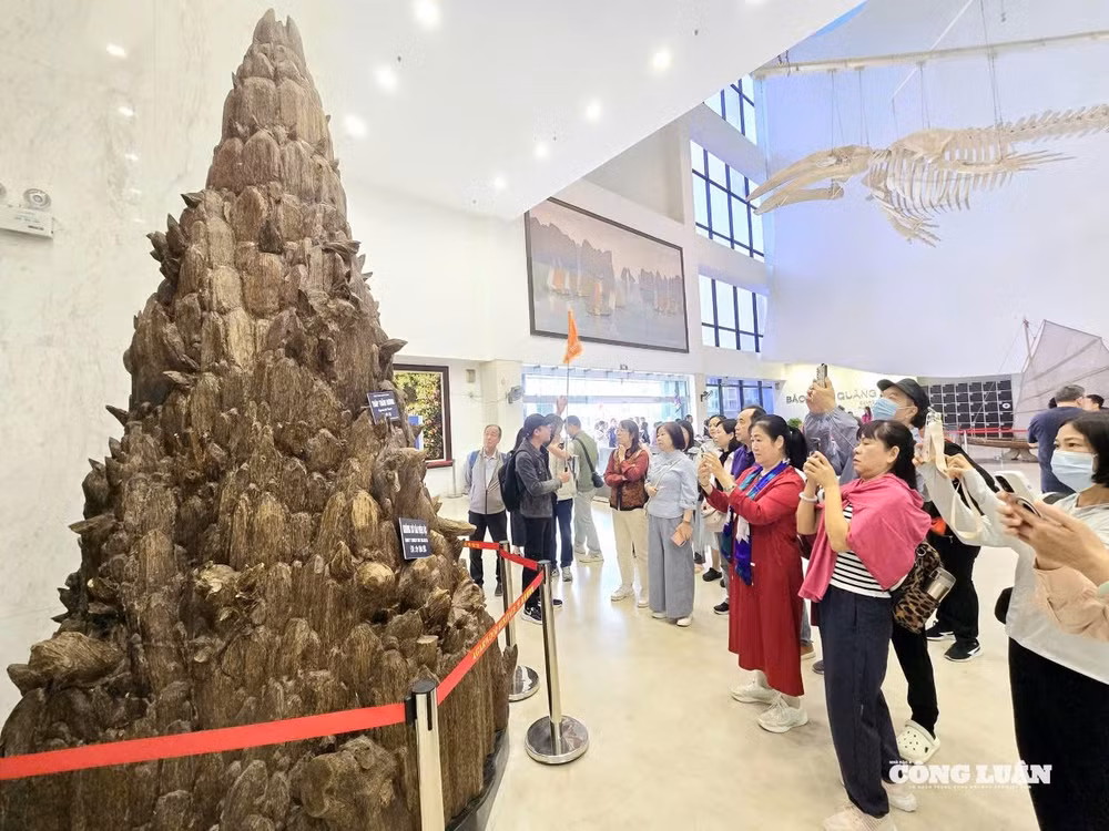 12-bao-tang-quan-ninh-don-khach-mot-trieu.jpg