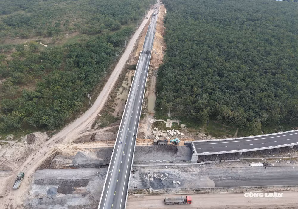 dji_20251210103812_0668_d.jpg