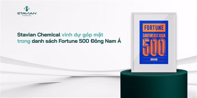 250616_Fortune500 SEA_Viet