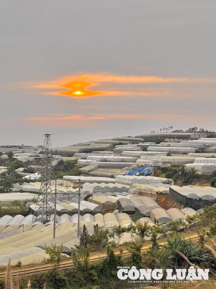 Ảnh màn hình 2025-06-14 lúc 16.21.17
