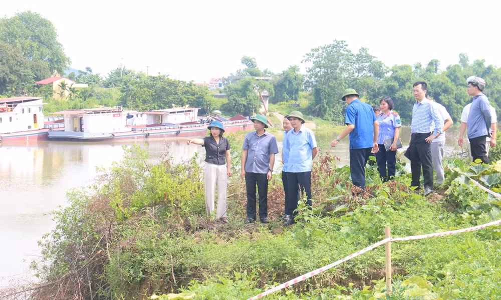 kiểm tra