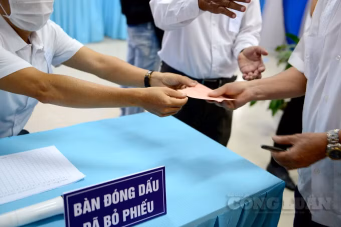 Cử tri TP. HCM sẽ bầu 30 đại biểu Quốc hội tại 10 đơn vị bầu cử