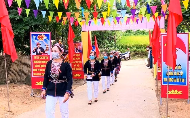 bầu cử