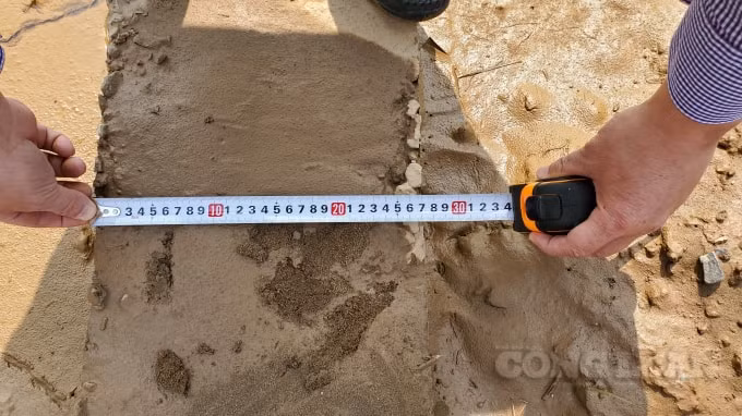 Để đảm bảo yêu cầu về kỹ thuật, giằng móng phải rộng 30cm nhưng một số điểm nhà thầu đã làm thiếu 10%.