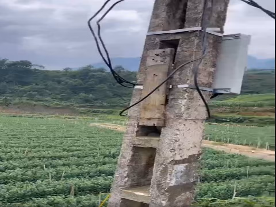 lao cai trom cap dien ban dem thap sang 500 bong den ruong hoa cuc hinh 1