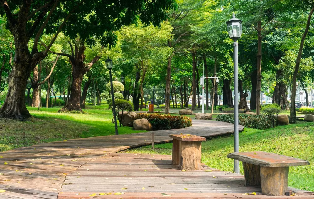 nang trum len moi loi di hinh 1