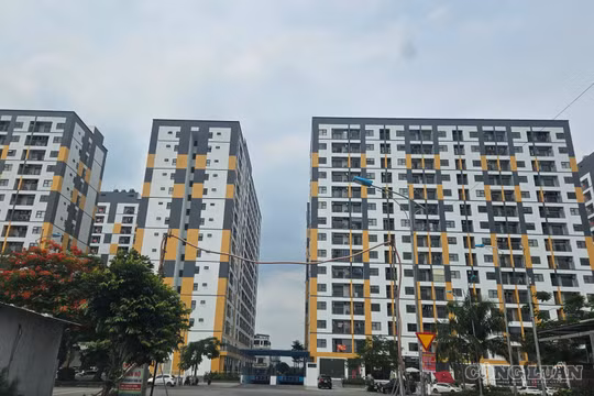 Hải Phòng tăng trần thu nhập với cá nhân được mua nhà ở xã hội lên 29 triệu đồng mỗi tháng, cao hơn 4 triệu so với mức chung.