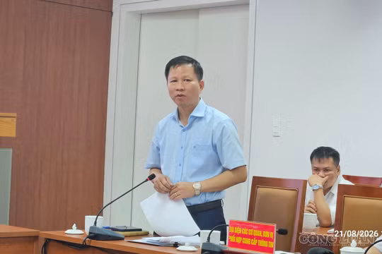 Hải Phòng: Tạm thời chưa cưỡng chế, tăng cường vận động tạo đồng thuận trong thu hồi nhà, đất công