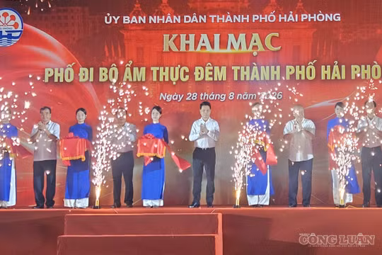 Khai mạc Phố đi bộ, ẩm thực và các hoạt động phát triển kinh tế ban đêm khu vực Dải vườn hoa trung tâm và Nhà hát thành phố Hải Phòng.