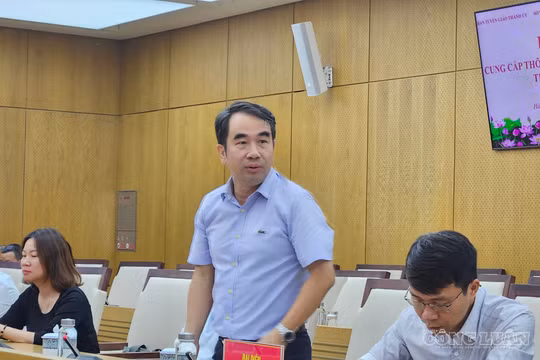 Hải Phòng bàn giao công viên, cây xanh vườn hoa cho cấp phường quản lý