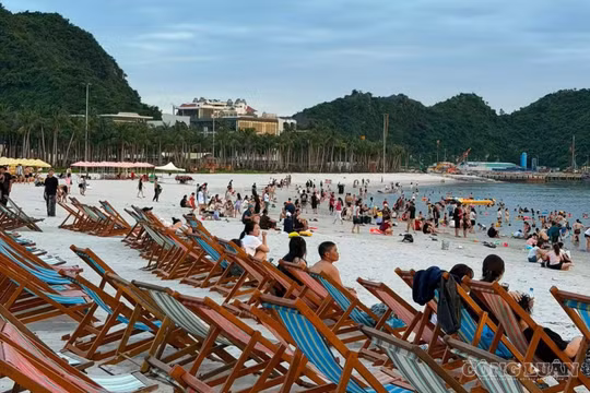 Hải Phòng đón hơn 1 triệu lượt khách du lịch trong dịp nghỉ lễ 2/9